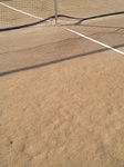 東山テニスコート